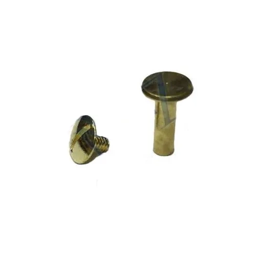 Cilt Menü, Katalog, Kartela Vidası, 20 Mm - Sarı, 100 Adet ( Lisinya ) Cilt Menü, Katalog, Kartela Vidası, 20 Mm - Sarı, 100 Adet ( Lisinya )