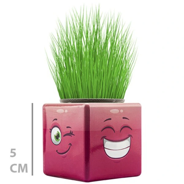 Çim Adam Mini Küp Emoji Figürlü 1 Adet ( Lisinya ) Çim Adam Mini Küp Emoji Figürlü 1 Adet ( Lisinya )