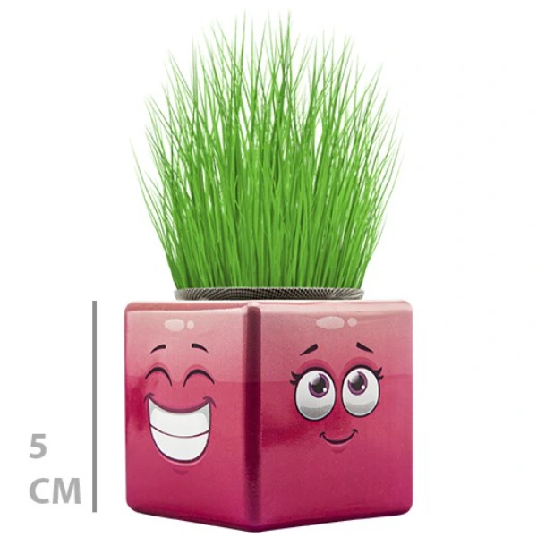 Çim Adam Mini Küp Emoji Figürlü 1 Adet ( Lisinya ) Çim Adam Mini Küp Emoji Figürlü 1 Adet ( Lisinya )