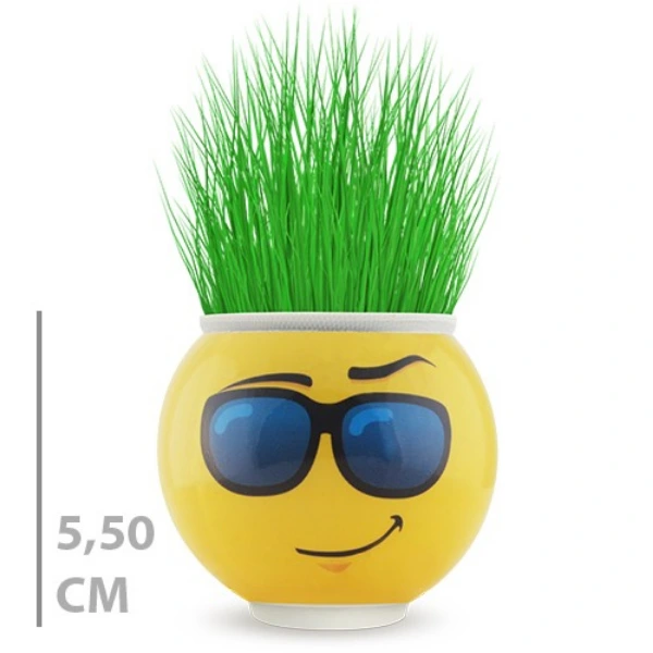 Çim Adam Saksı Emoji Figürlü 1 Adet ( Lisinya ) Çim Adam Saksı Emoji Figürlü 1 Adet ( Lisinya )