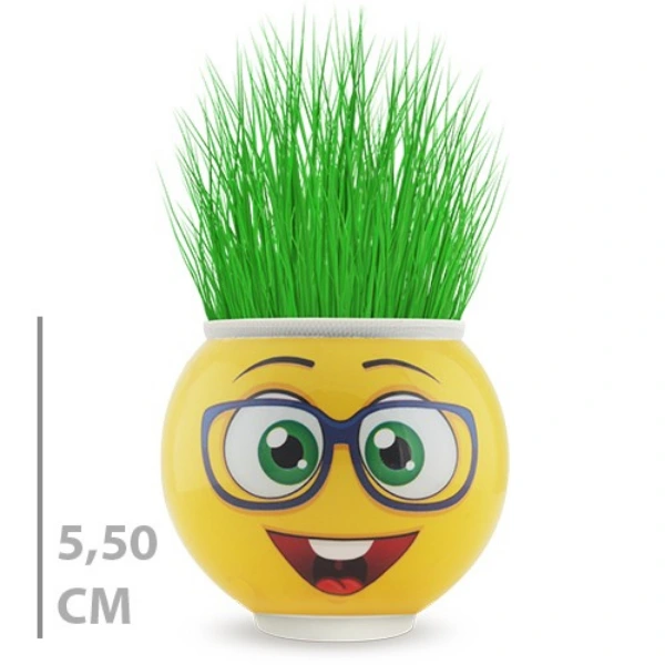 Çim Adam Saksı Emoji Figürlü 1 Adet ( Lisinya ) Çim Adam Saksı Emoji Figürlü 1 Adet ( Lisinya )