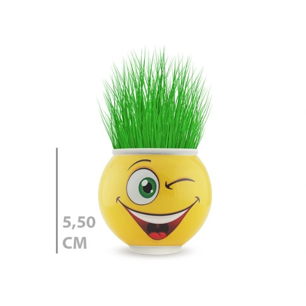 Çim Adam Saksı Emoji Figürlü 1 Adet ( Lisinya ) Çim Adam Saksı Emoji Figürlü 1 Adet ( Lisinya )