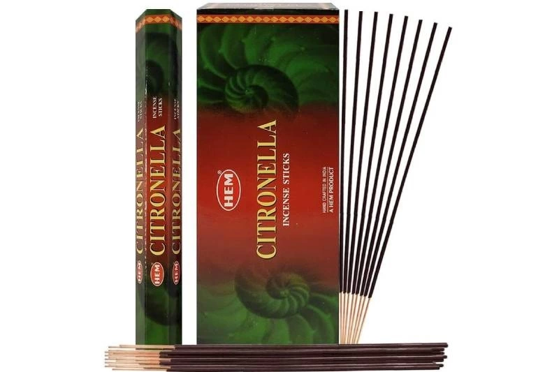 Citronella Tall Hexa ( Lisinya ) Citronella Tall Hexa ( Lisinya )