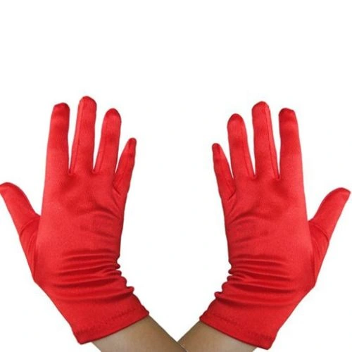 Dans Gösteri Eldiveni ( Lisinya ) Dans Gösteri Eldiveni ( Lisinya )