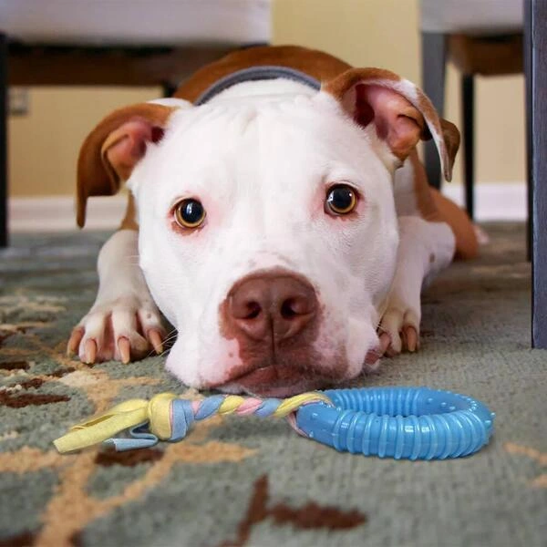 Dayanıklı Köpek Diş Kaşıyıcı Ve Çiğneme Oyuncağı ( Lisinya )