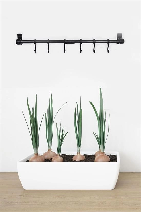 duvara Monte Edilen 6 Kancalı Dekor Kaşıklık Ve Kupa Askısı ( Lisinya ) duvara Monte Edilen 6 Kancalı Dekor Kaşıklık Ve Kupa Askısı ( Lisinya )