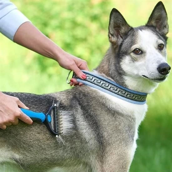 Plastik Saplı Metal Kedi Köpek Bakım Kıtık Tüy Topak Açıcı Tarak ( Lisinya ) Plastik Saplı Metal Kedi Köpek Bakım Kıtık Tüy Topak Açıcı Tarak ( Lisinya )