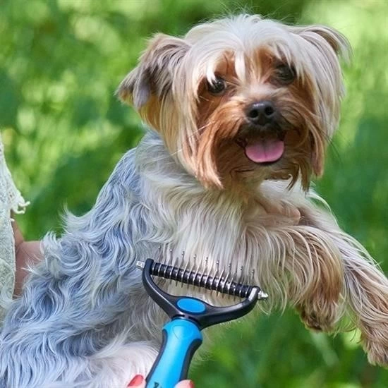 Plastik Saplı Metal Kedi Köpek Bakım Kıtık Tüy Topak Açıcı Tarak ( Lisinya ) Plastik Saplı Metal Kedi Köpek Bakım Kıtık Tüy Topak Açıcı Tarak ( Lisinya )