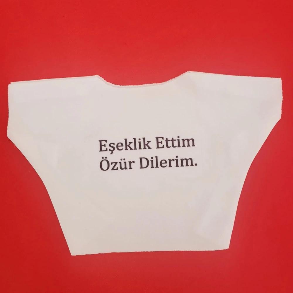 Eşeklik Ettim Yazılı Oyuncak Tişörtü ( Lisinya )