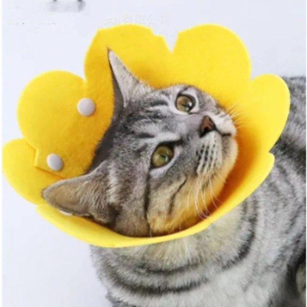 Evcil Hayvan M Boy Keçe Elizabeth Yakalığı ( Lisinya )