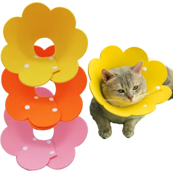 Evcil Hayvan M Boy Keçe Elizabeth Yakalığı ( Lisinya )