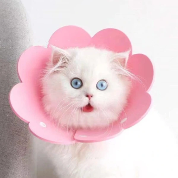 Evcil Hayvan M Boy Keçe Elizabeth Yakalığı ( Lisinya )