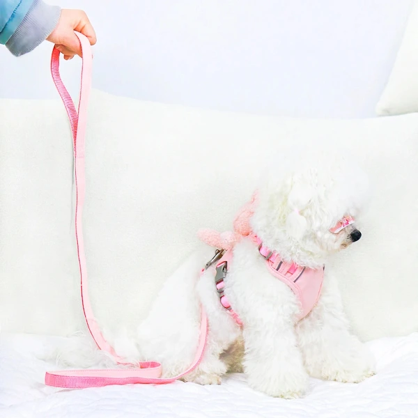 Evcil Hayvan Peluş Ayıcıklı Göğüs Gezdirme Tasması Set ( Lisinya )