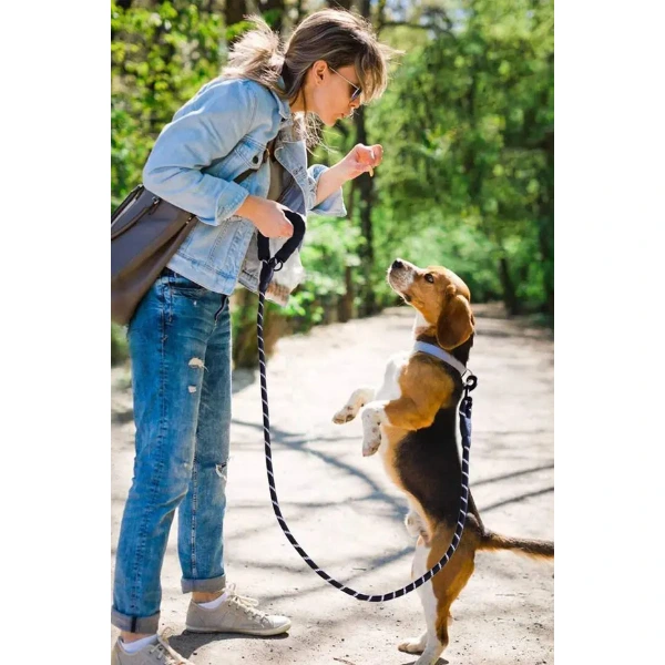 Evcil Hayvan Reflektörlü Fitil Gezdirme Tasması 10 Mm X 120 Cm ( Lisinya )