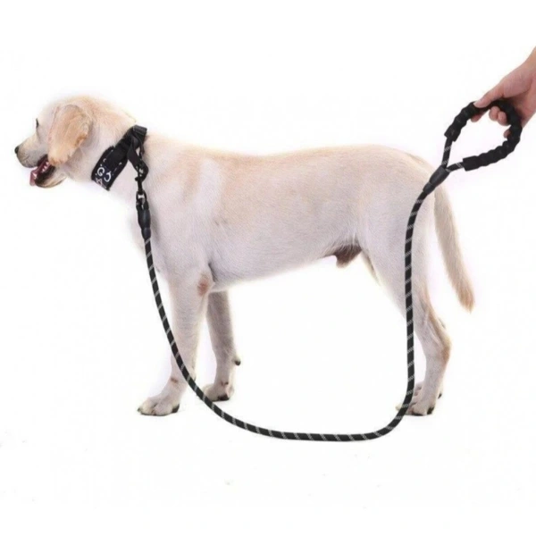 Evcil Hayvan Reflektörlü Fitil Gezdirme Tasması 12 Mm X 120 Cm ( Lisinya )