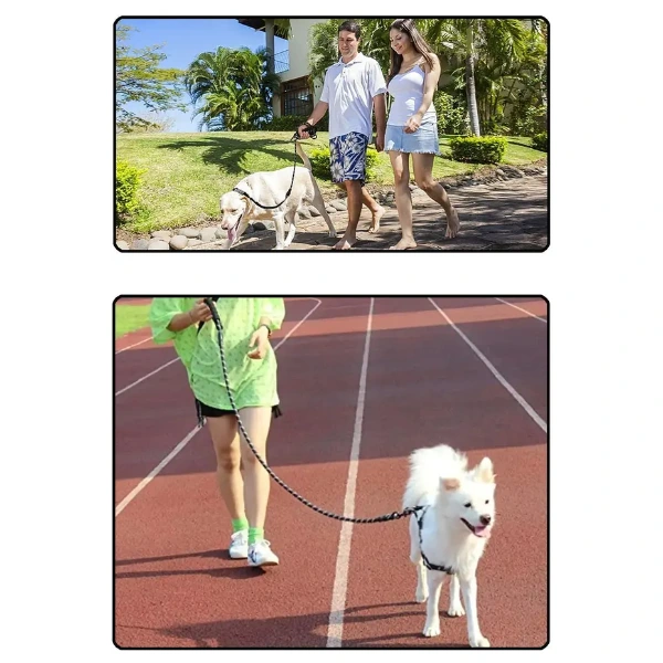 Evcil Hayvan Reflektörlü Fitil Gezdirme Tasması 12 Mm X 120 Cm ( Lisinya )