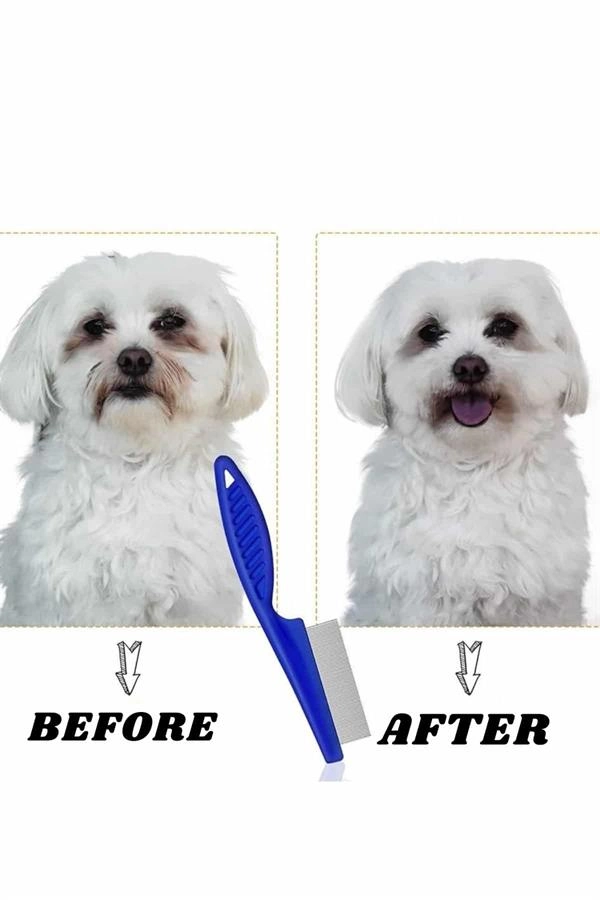 Evcil Hayvan Tarak Seti 4'lü Bit Tarağı Ked Köpek Tüyüne Uygun ( Lisinya )