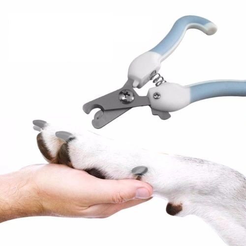 Evcil Hayvan Tırnak Makası ( Lisinya )