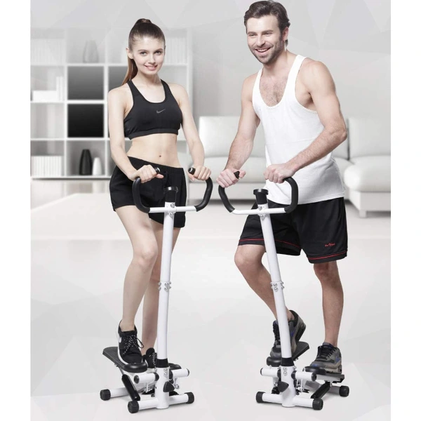 Gidonlu Adım Atma Egzersiz Aleti ( Lisinya ) Gidonlu Adım Atma Egzersiz Aleti ( Lisinya )