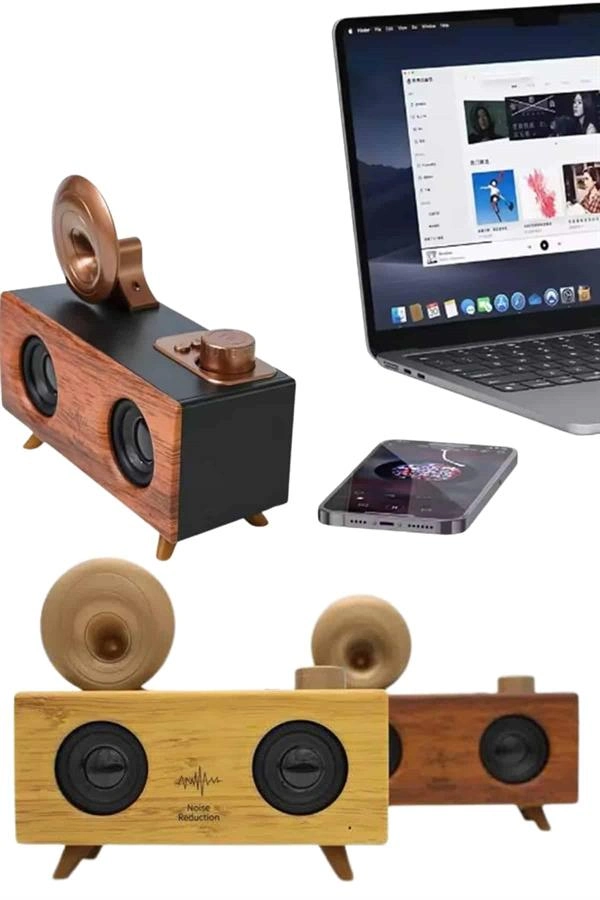 Gramafon Nostaljik Radyo Yüksek Ses Kalitesi Usb Tf Kart Aux ( Lisinya )