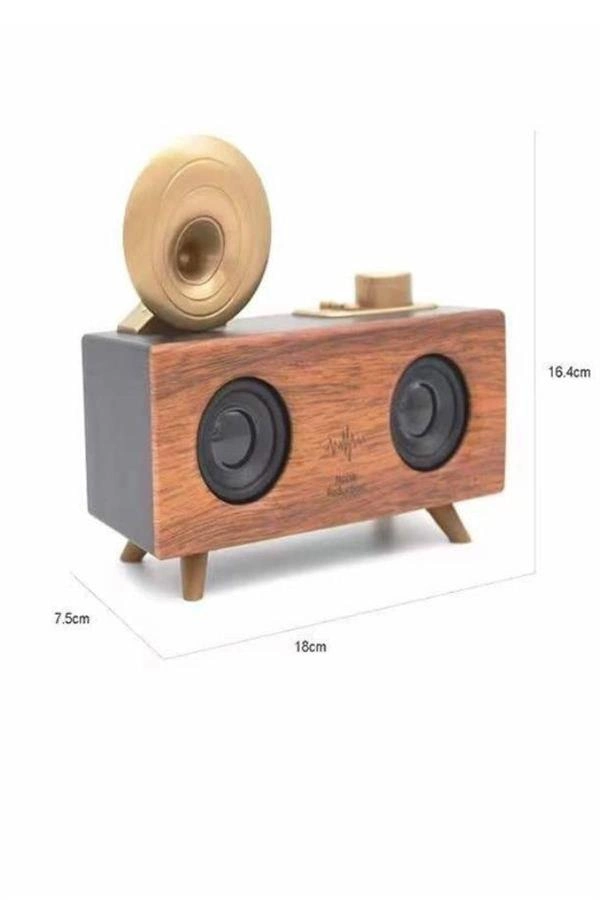 Gramafon Nostaljik Radyo Yüksek Ses Kalitesi Usb Tf Kart Aux ( Lisinya )