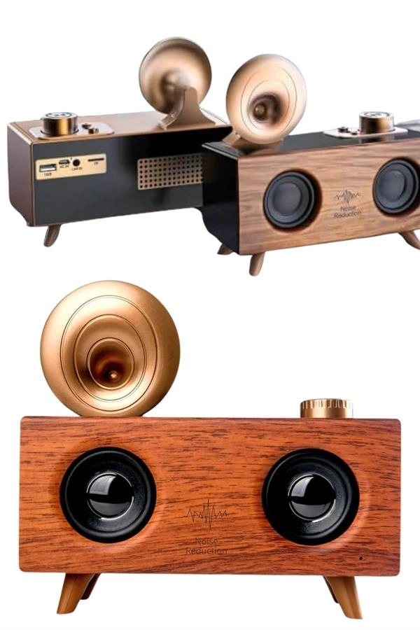 Gramafon Radyo Bluetooth Hoparlör Nostaljik Radyo Fm Radyo ( Lisinya )