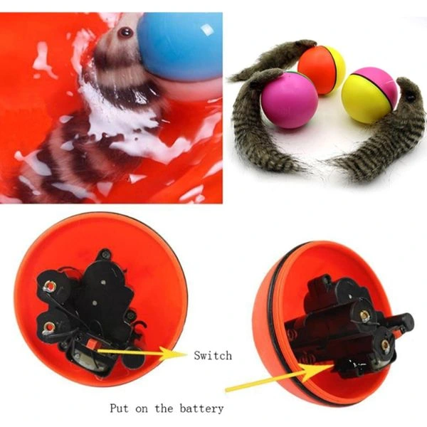 Hareketli Rakun Kedi Köpek Oyuncak ( Lisinya )