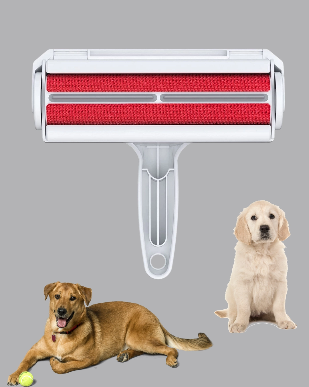 Hazneli Pratik Tüy Temizleyici Kıyafet Ve Mobilya Tüy Alma Aracı ( Lisinya ) Hazneli Pratik Tüy Temizleyici Kıyafet Ve Mobilya Tüy Alma Aracı ( Lisinya )