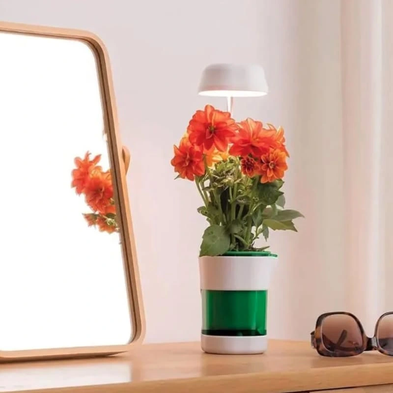 Hızlı Bitki Yetiştirme Saksısı ( Lisinya ) Hızlı Bitki Yetiştirme Saksısı ( Lisinya )