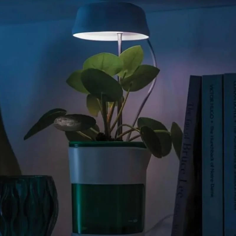 Hızlı Bitki Yetiştirme Saksısı ( Lisinya )