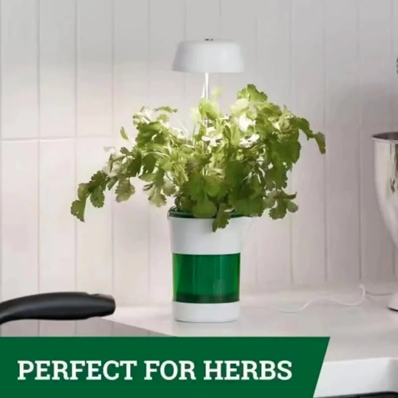 Hızlı Bitki Yetiştirme Saksısı ( Lisinya )