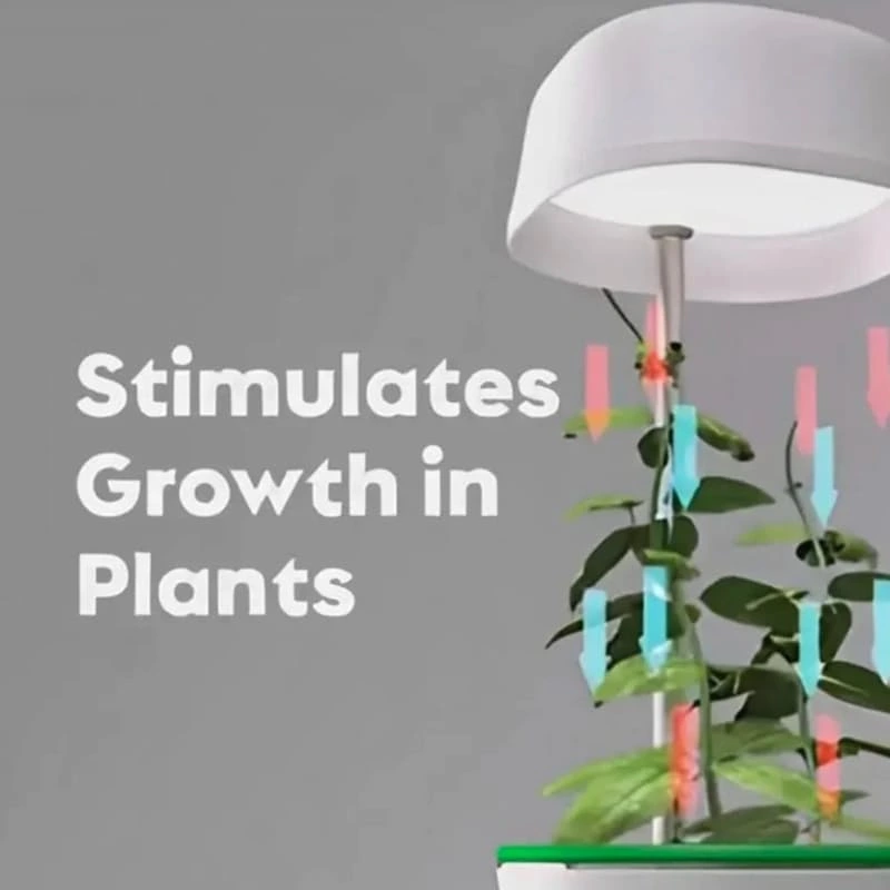 Hızlı Bitki Yetiştirme Saksısı ( Lisinya )