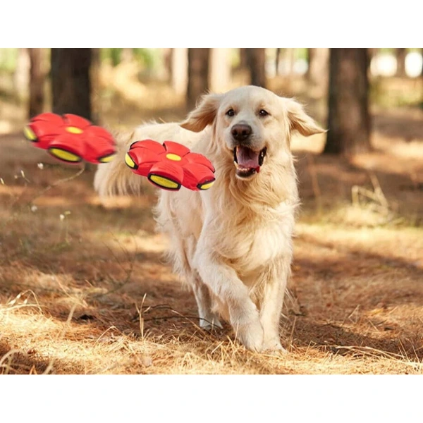 Işıklı Zıplayan Frizbi Evcil Hayvan Topu ( Lisinya )