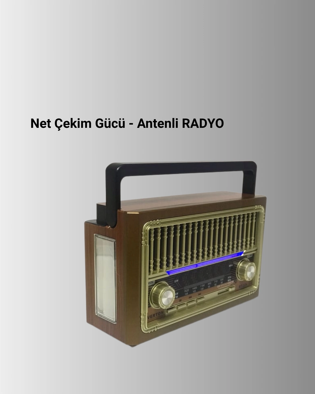 Kablosuz Bluetooth Hoparlör Ve Fm Radyo ( Lisinya )