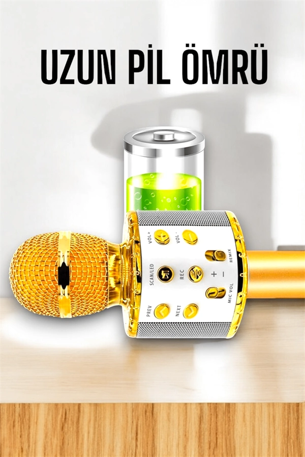 Kablosuz Bluetooth Karaoke Mikrofon Usb Ve Aux Girişli, Yüksek Ses Kalitesi ( Lisinya )