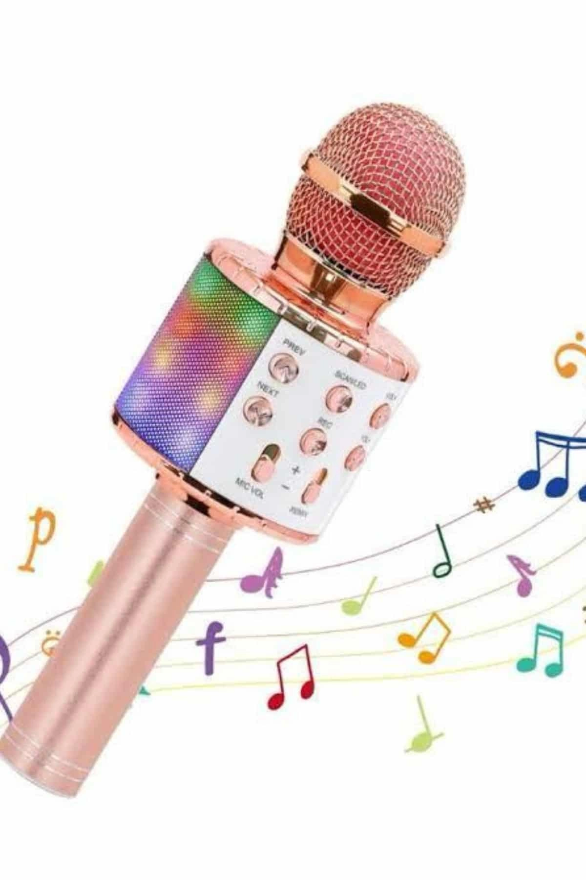 Karaoke Mikrofon Bluetooth Bağlantılı Aux Girişli Uzun Pil Ömrü Yüksek Ses Kaliteli ( Lisinya )