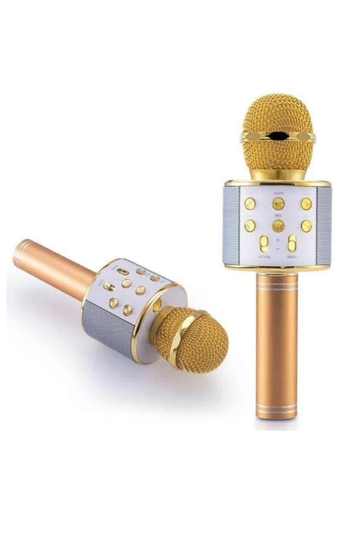 Karaoke Mikrofon Dahili Hoparlörlü Sd-usb-aux Girişli Bluetooth Hoparlör ( Lisinya )