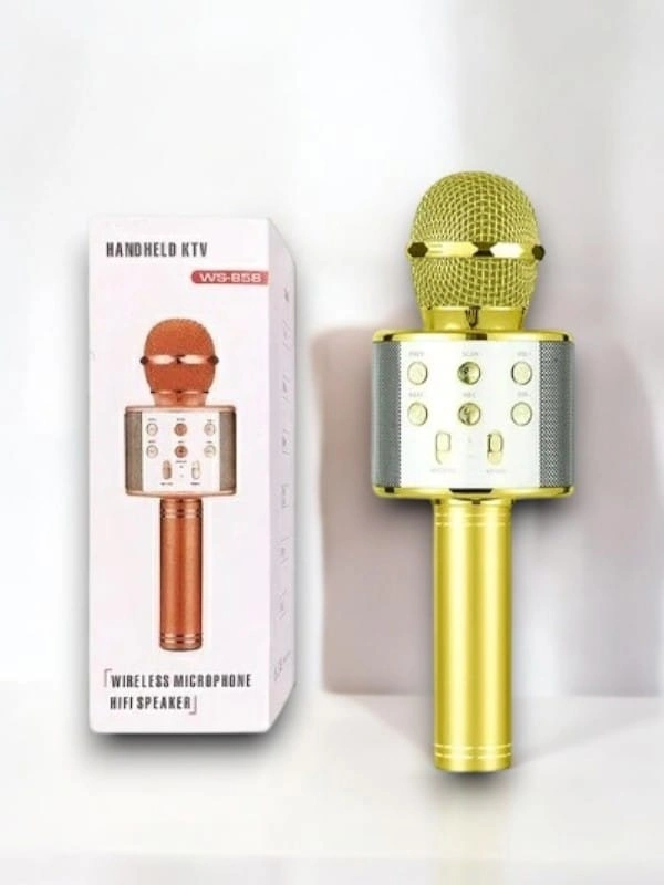 Kareoke  Mıkrofon ( Lisinya )