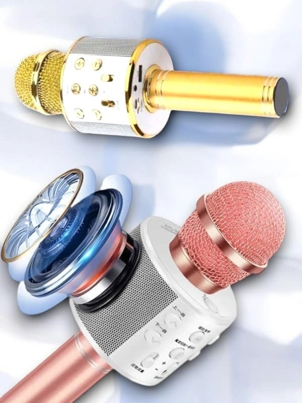 Kareoke  Mıkrofon ( Lisinya )