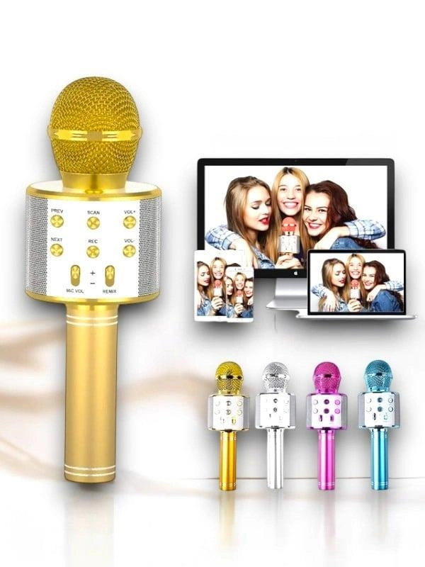 Kareoke  Mıkrofon ( Lisinya )