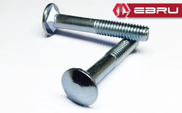 Kasa Civata 5/16x40 - 10 Adet ( Lisinya )