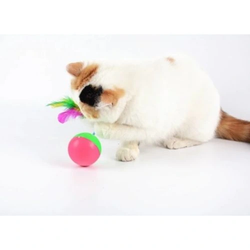 Kedi Fare Hacıyatmaz Oyunu ( Lisinya )