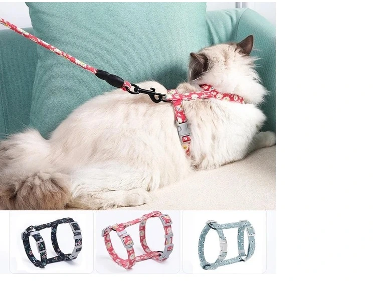 Kedi Gezdirme Göğüs Tasması ( Lisinya )