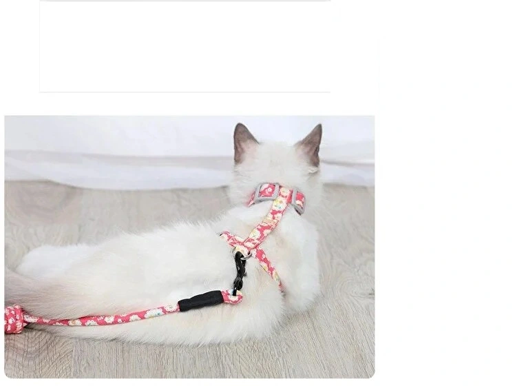 Kedi Gezdirme Göğüs Tasması ( Lisinya )