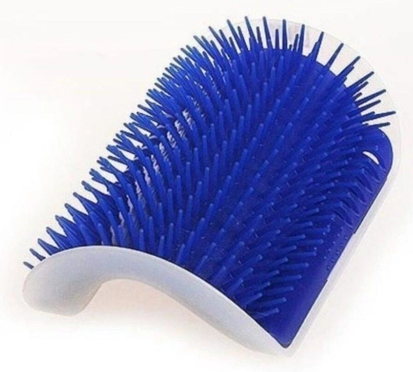 Kedi Kaşınma Atı ( Lisinya )