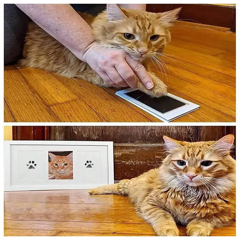 Kedi Köpek Pati İzi Fotoğraf Çerçevesi Seti ( Lisinya ) Kedi Köpek Pati İzi Fotoğraf Çerçevesi Seti ( Lisinya )