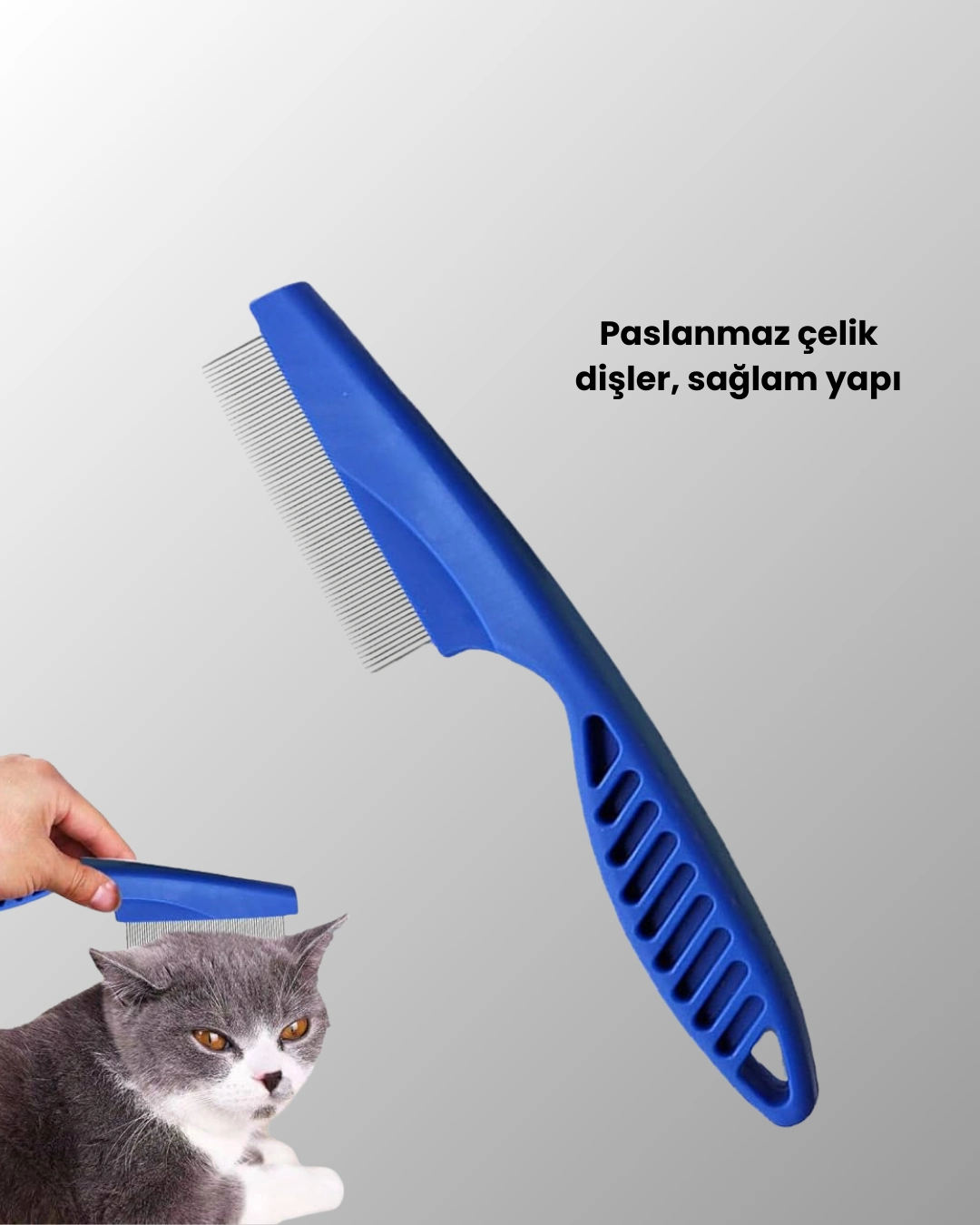 Kedi, Köpek Ve Küçük Hayvanlar İçin 4 Parça Ergonomik Tarak Takımı ( Lisinya ) Kedi, Köpek Ve Küçük Hayvanlar İçin 4 Parça Ergonomik Tarak Takımı ( Lisinya )