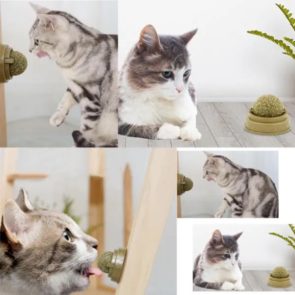 Kedi Nanesi Oyun Topu ( Lisinya )