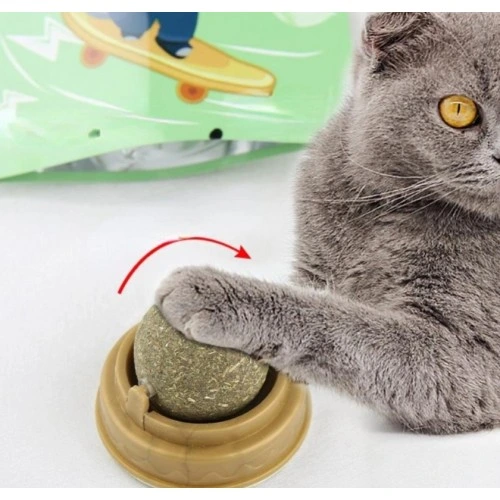 Kedi Nanesi Oyun Topu ( Lisinya )