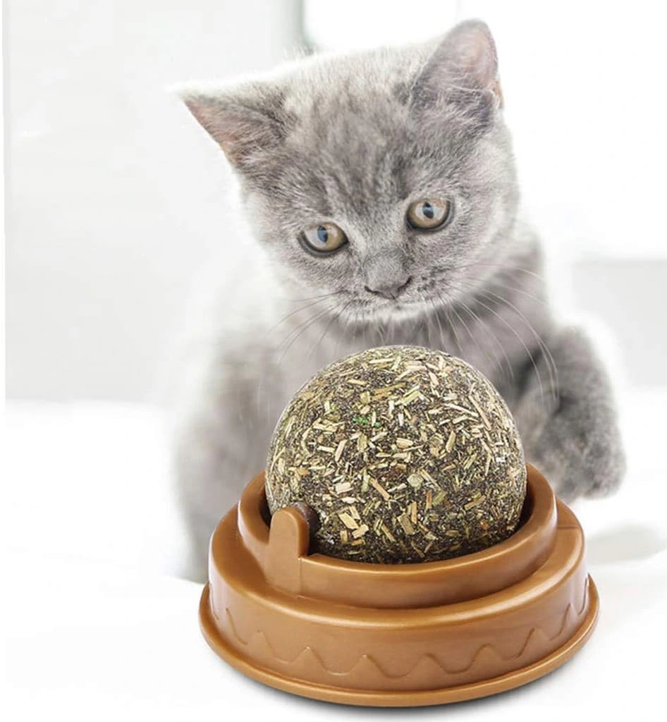 Kedi Nanesi Oyun Topu ( Lisinya )